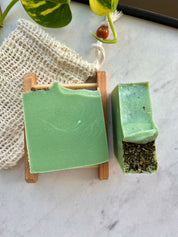 Evergreen - Handmade Bar Soap