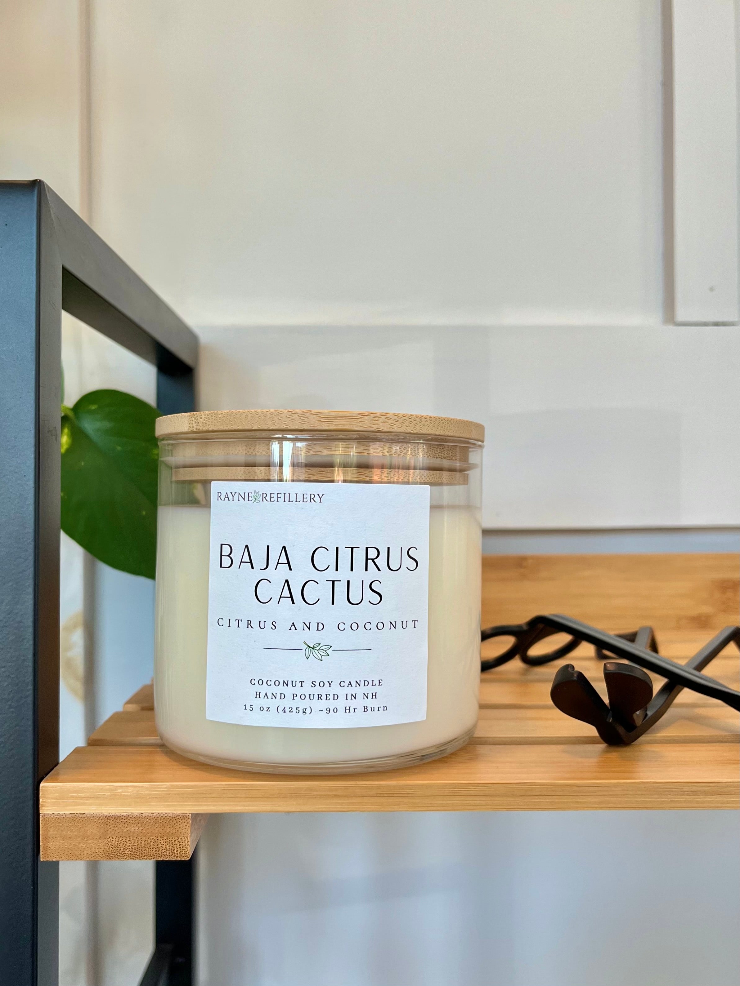 Baja Cactus - Coconut Soy Wax Candle