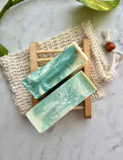 Succulent - Handmade Soap