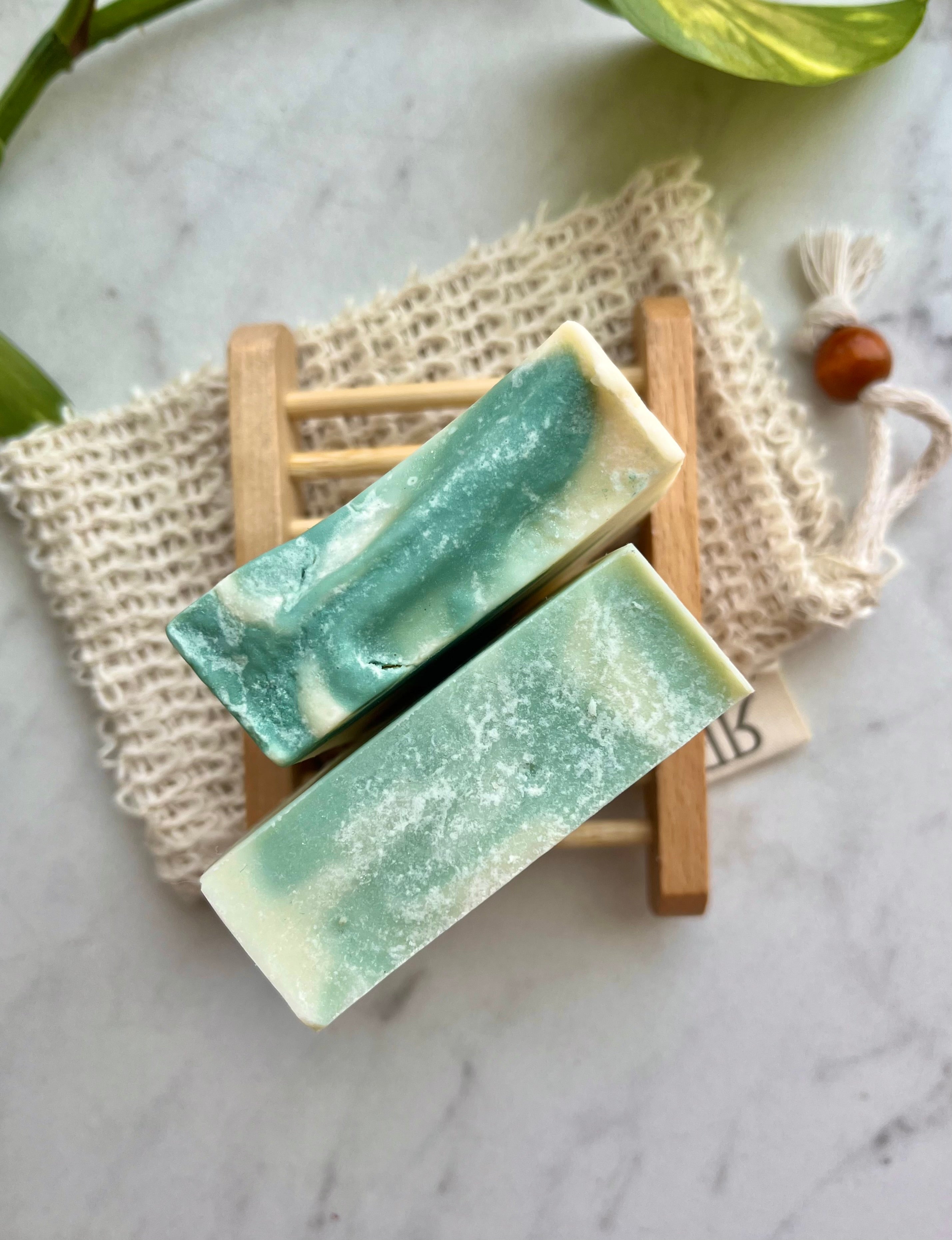 Succulent - Handmade Soap