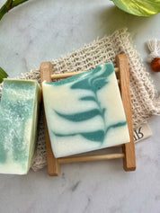 Succulent - Handmade Soap