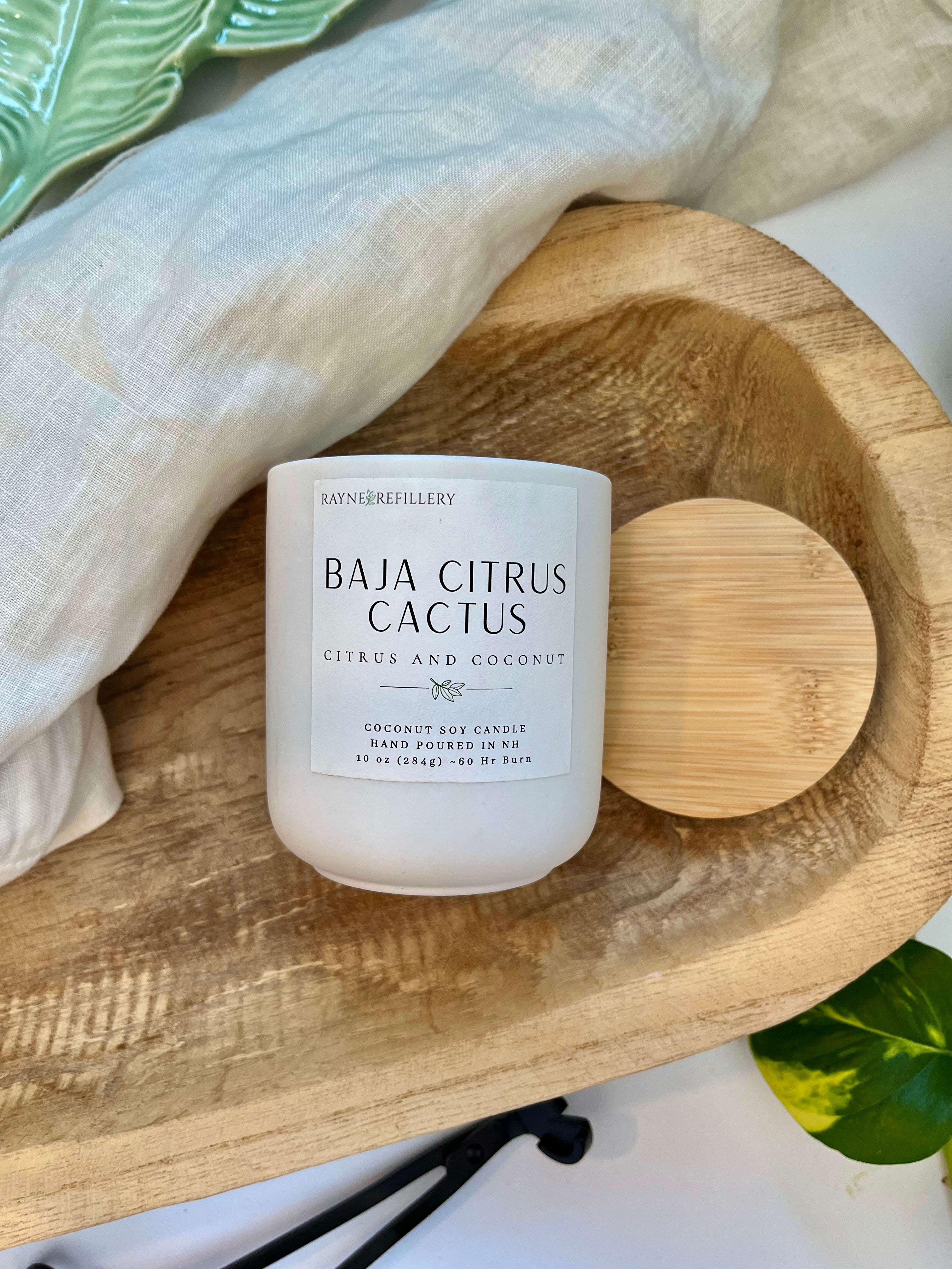 Baja Cactus - Coconut Soy Wax Candle
