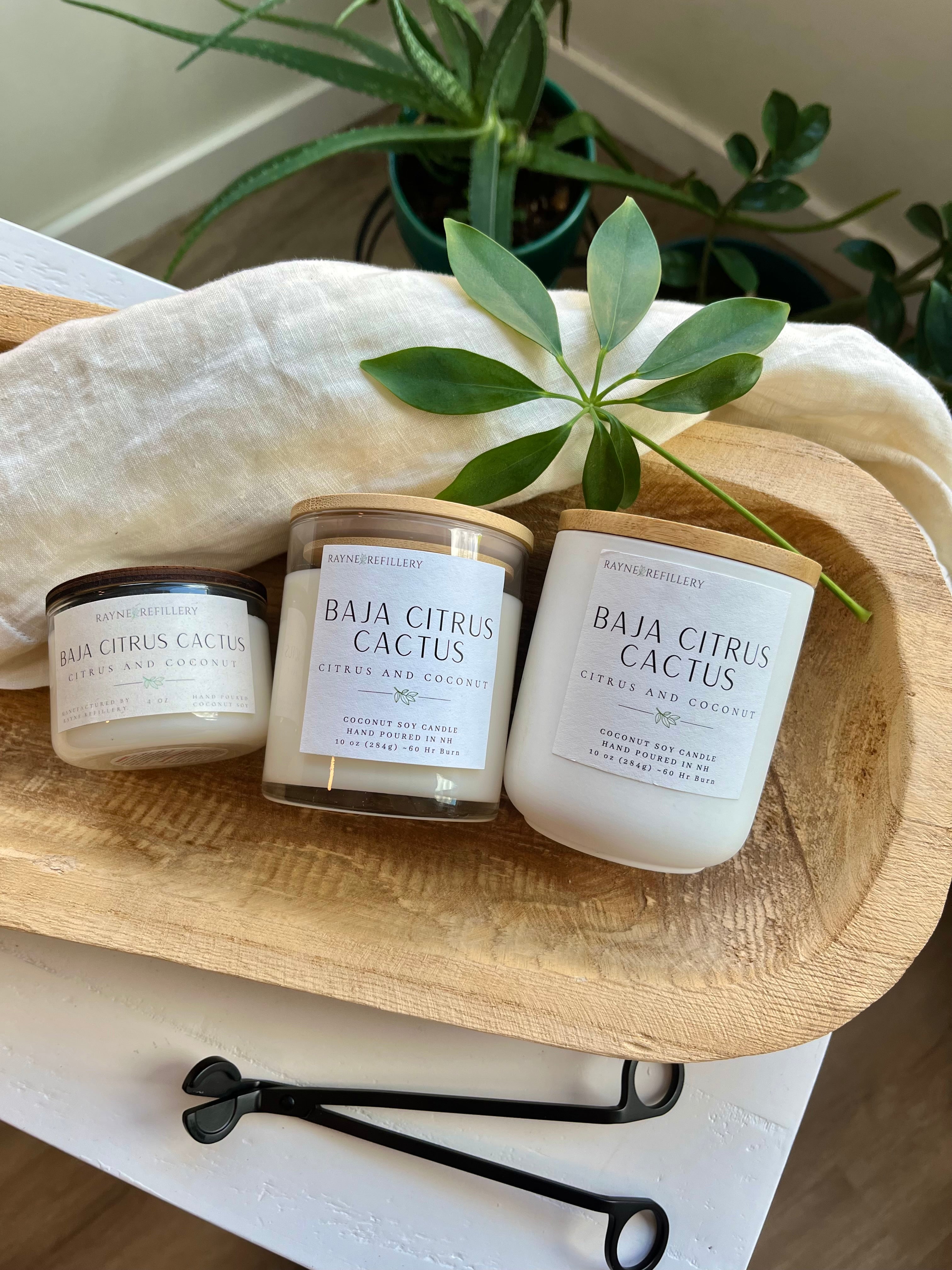 Baja Cactus - Coconut Soy Wax Candle