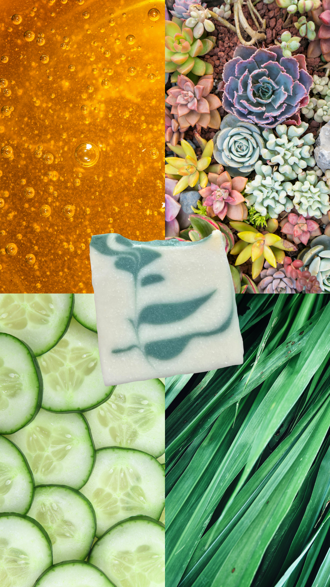 Succulent - Handmade Soap