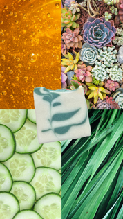 Succulent - Handmade Soap