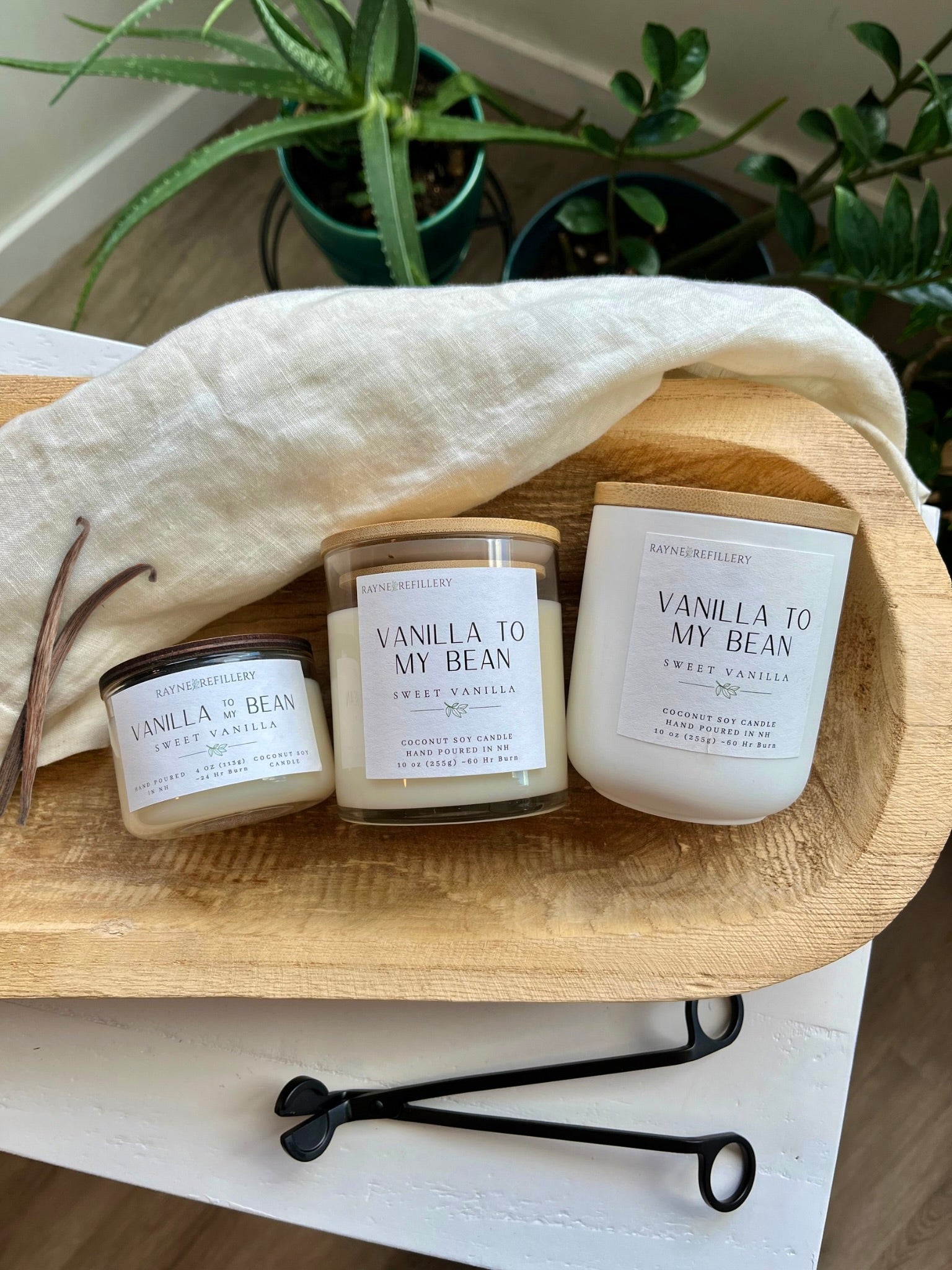 Vanilla To My Bean - Coconut Soy Wax Candle