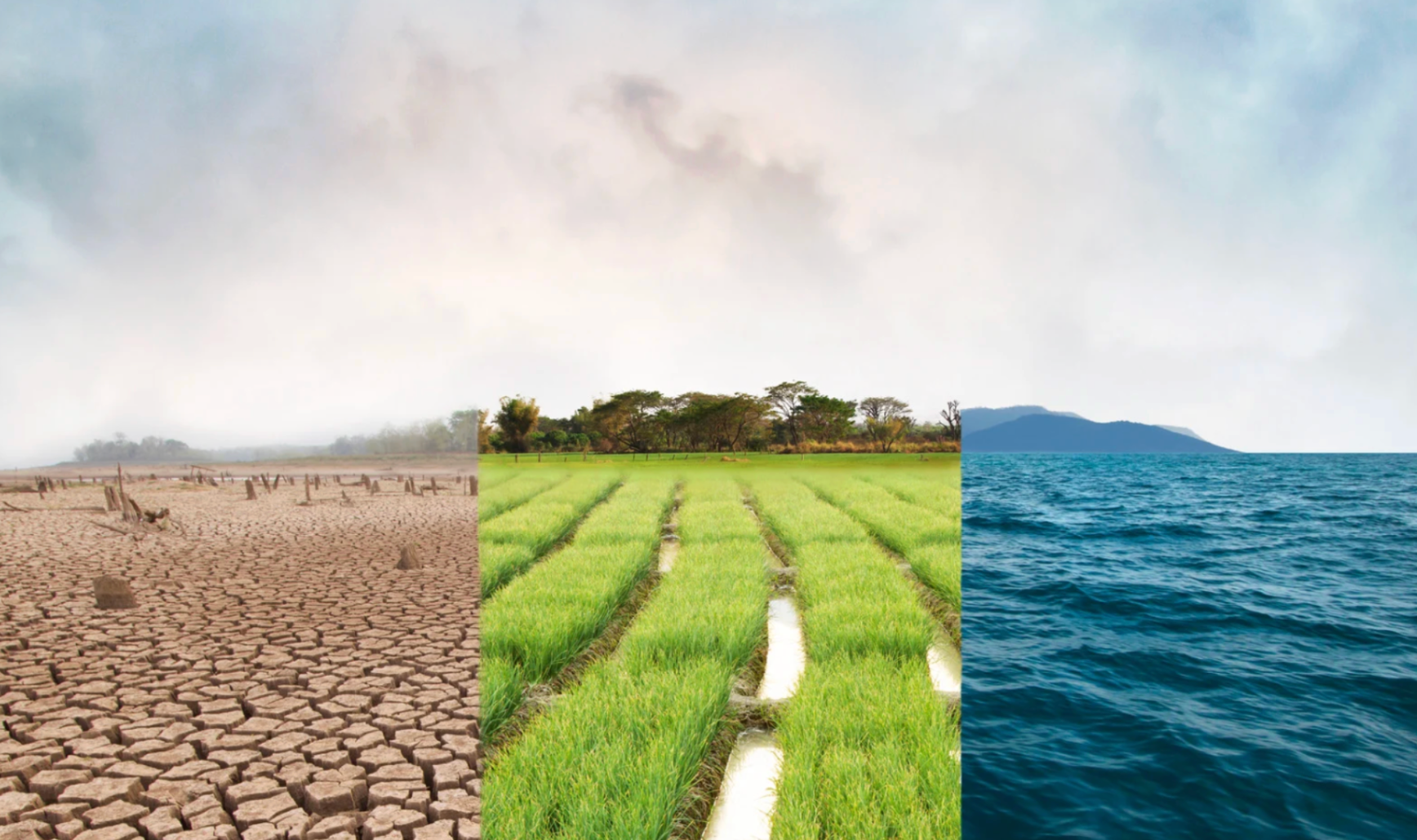 New Year, Less Waste: Small Changes That Make a Big Environmental Impact