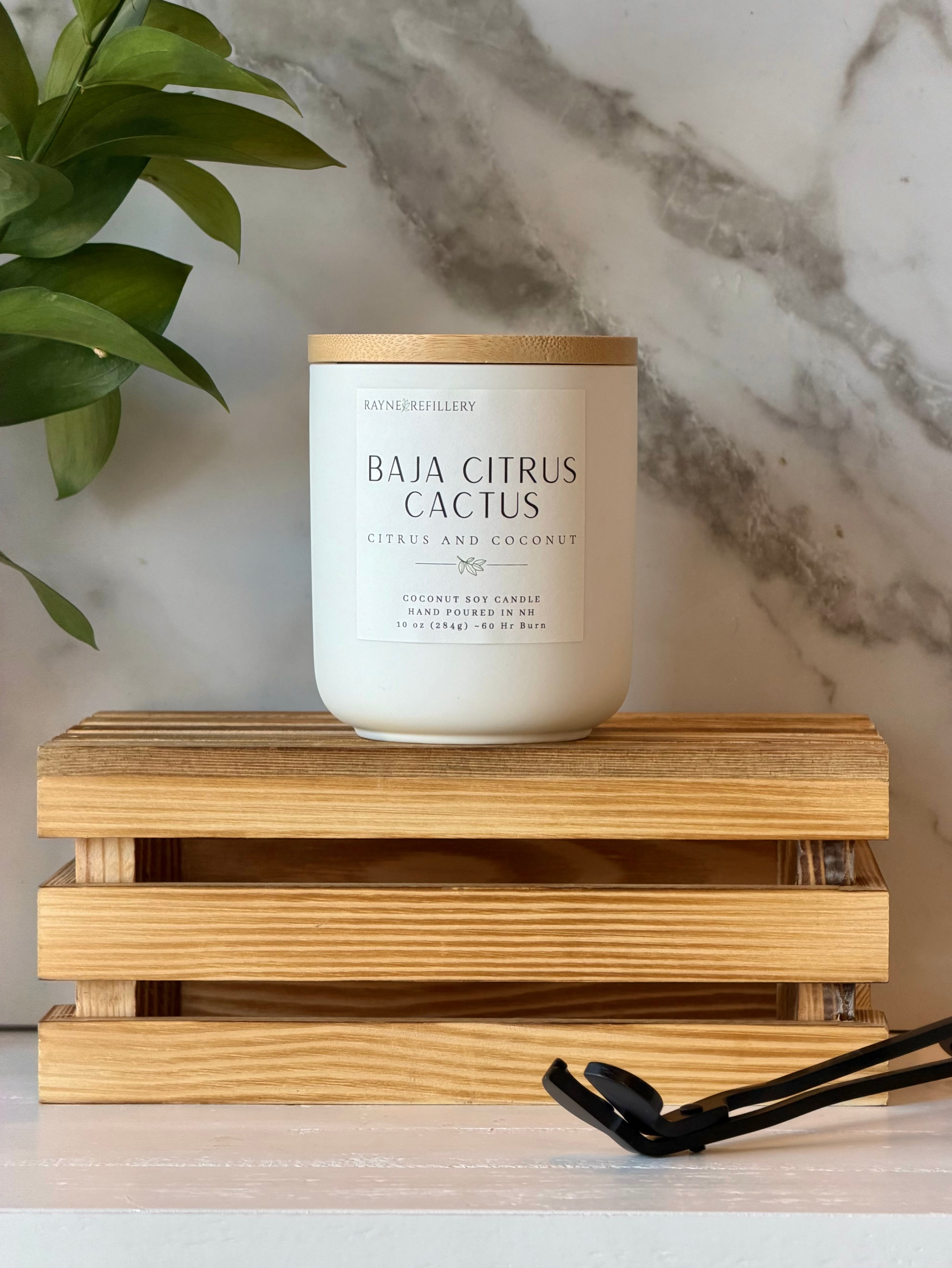 Baja Cactus Flower Coconut Soy Candle