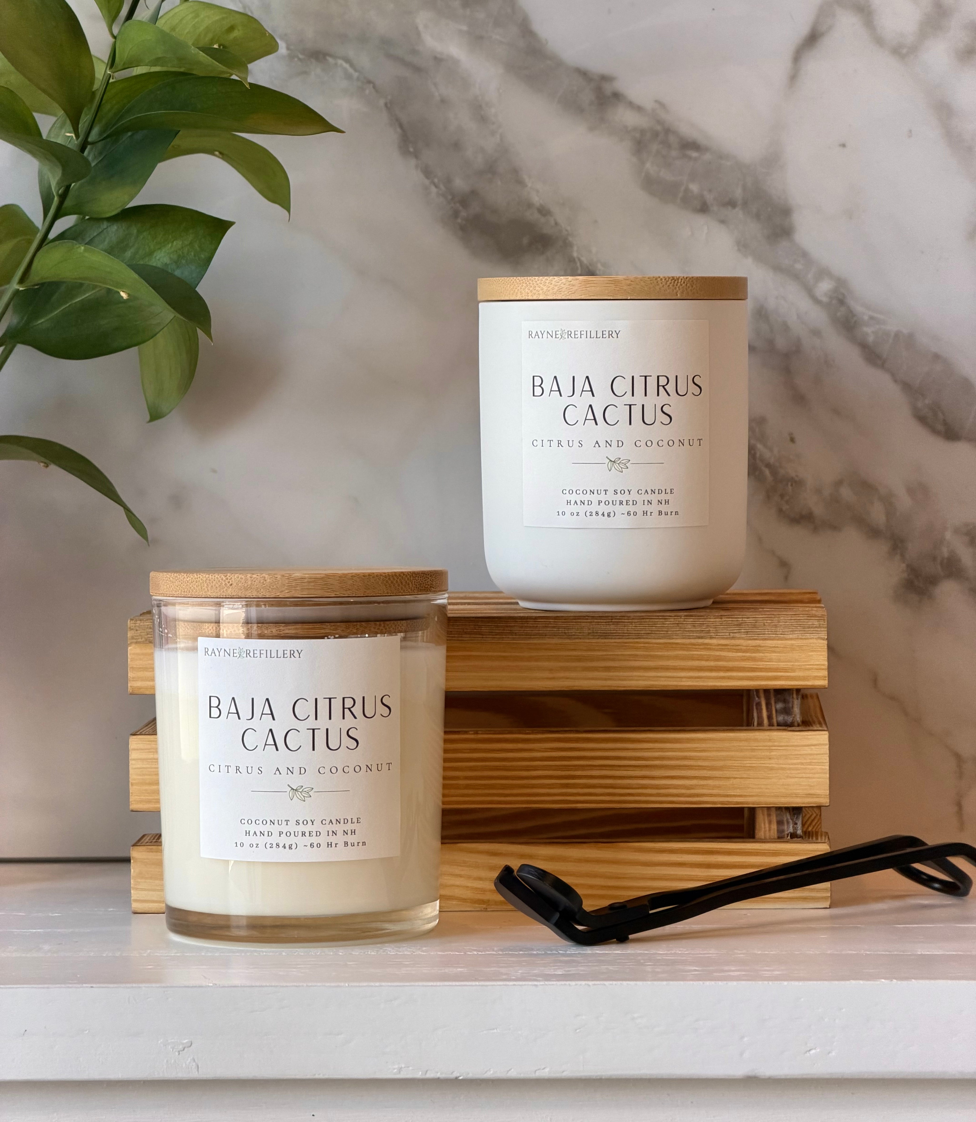 Baja Cactus Flower Coconut Soy Candle
