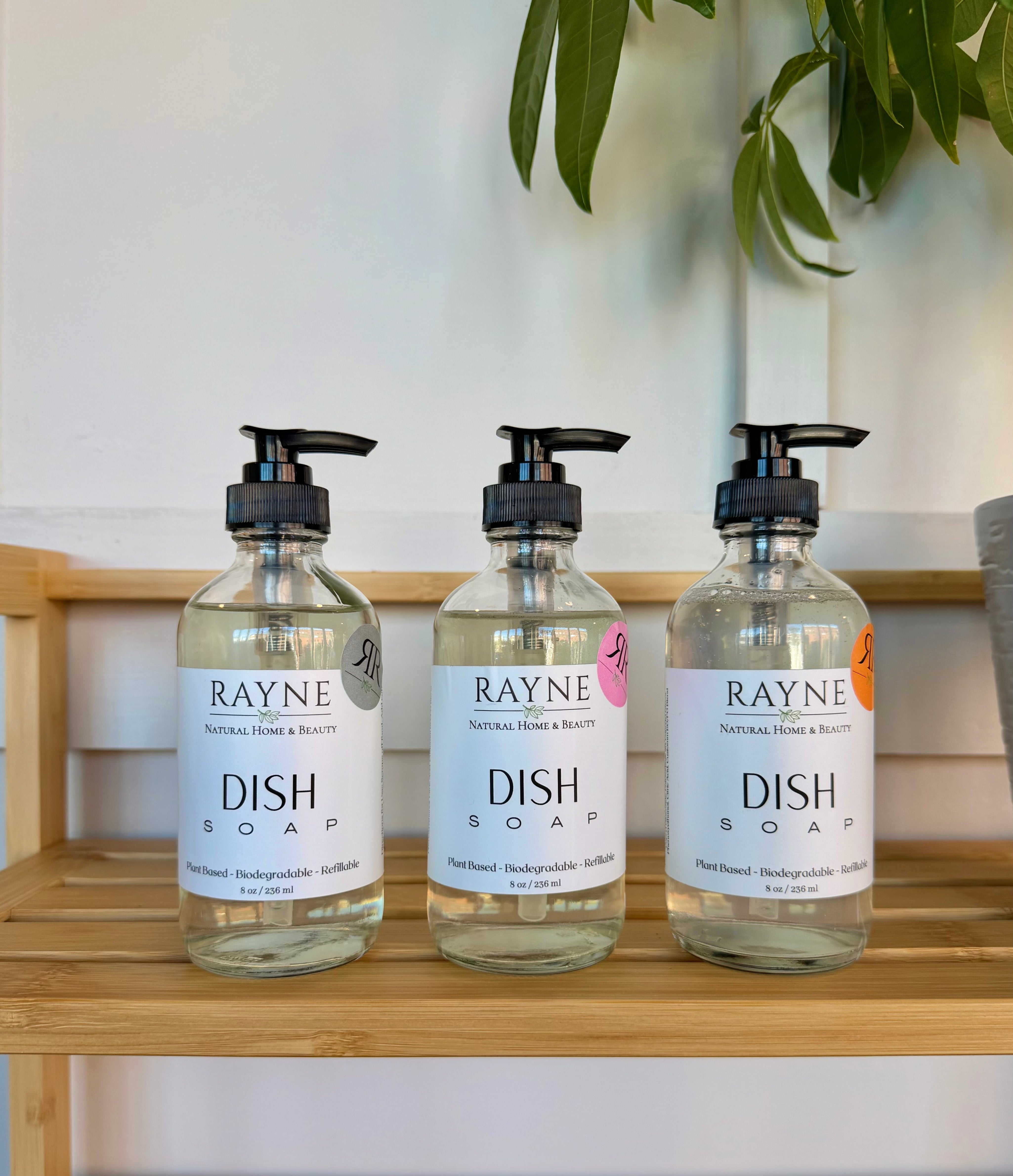 Dish Soap - Plant-Based Liquid Dish Detergent 8oz