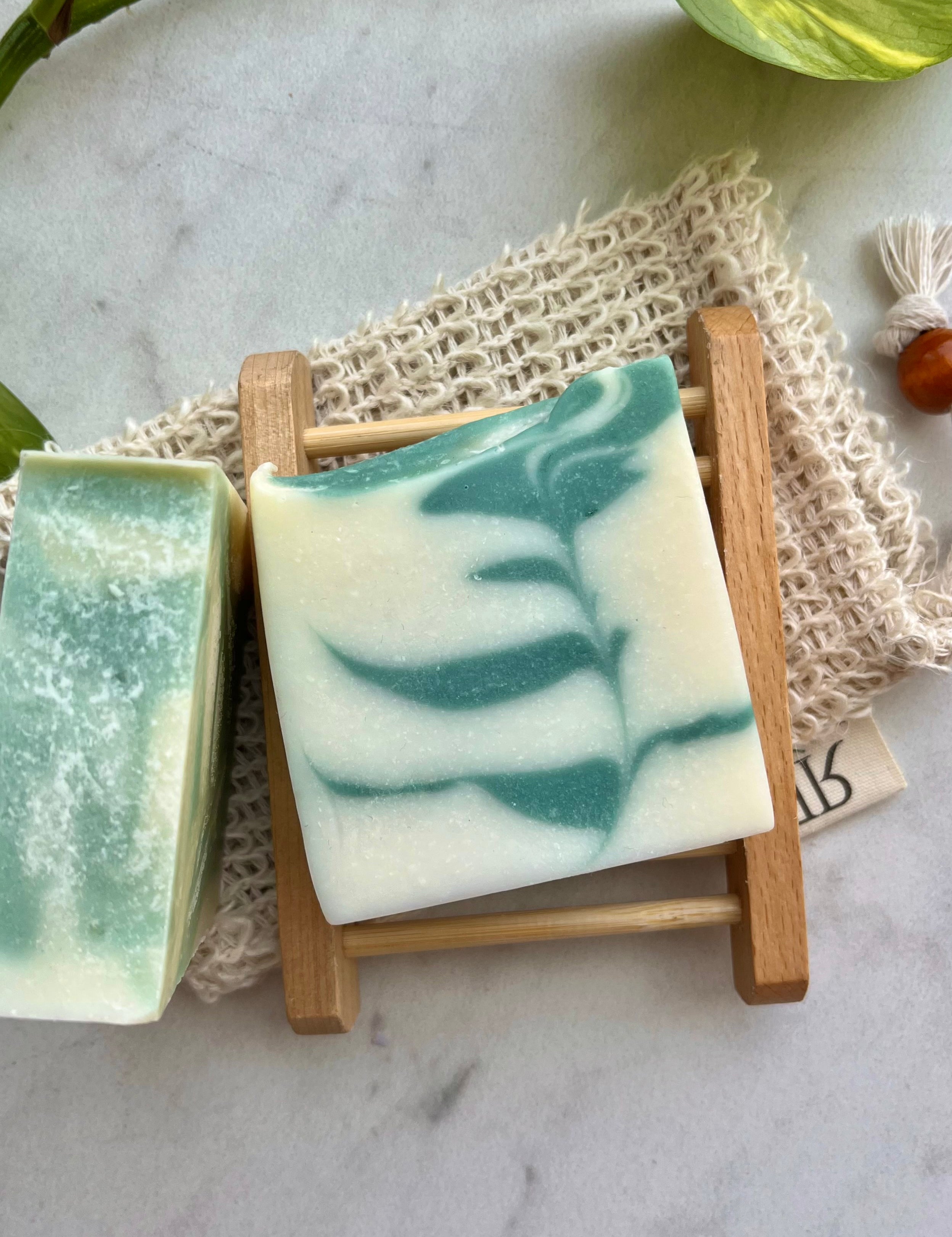 succulent soapery Succulent